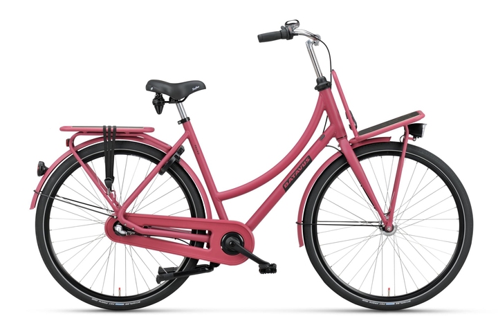 Batavus Packd 24