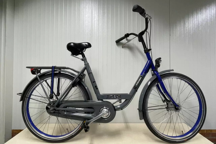 Batavus Personal bike