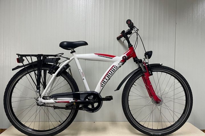 Batavus Snake 26